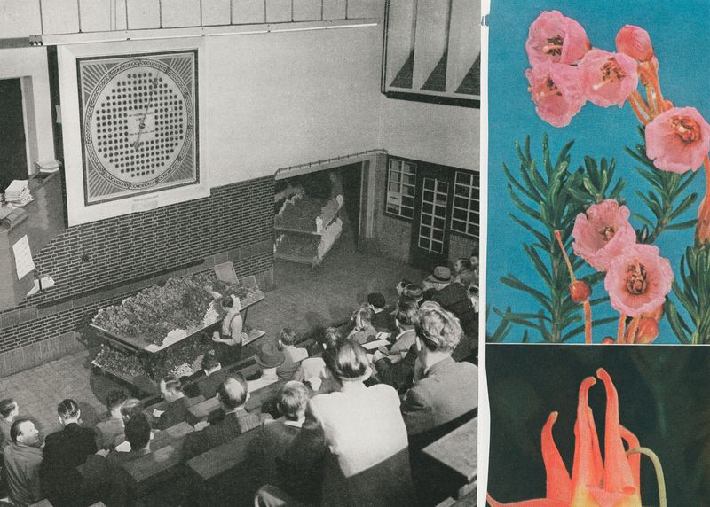 © Carla Liesching - Image from the Powder Blue photography project