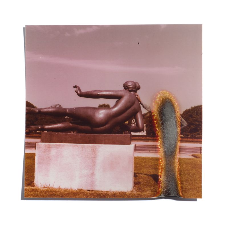 © Fatemeh Baigmoradi - Image from the It’s Hard to Kill photography project
