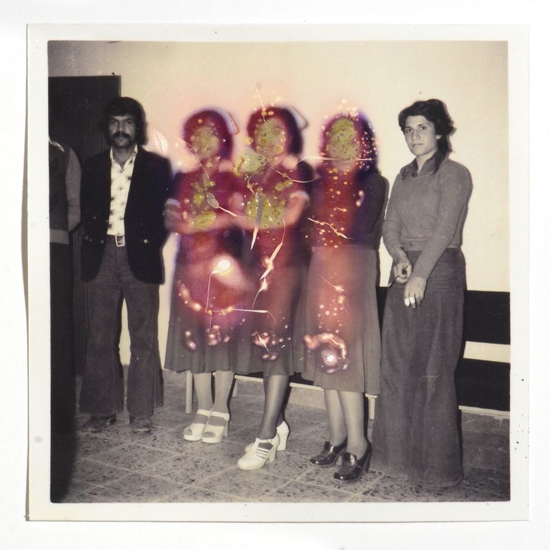 © Fatemeh Baigmoradi - Image from the It’s Hard to Kill photography project