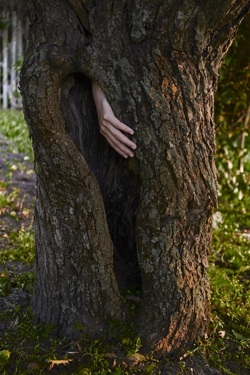 © Arina Starykh - Image from the Blood is thicker than water photography project