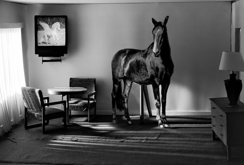 © Robin Crookall - Horse Hotel, gelatin silver print, 15 x 22 inches. Photograph of constructed cardboard diorama.