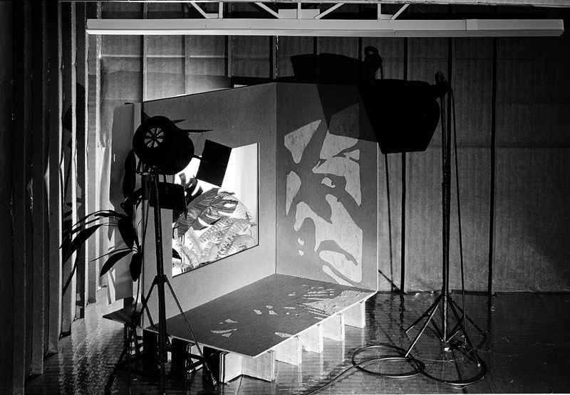 © Robin Crookall - Plant Show, Gelatin silver print, 15 x 22 inches. Photograph of constructed cardboard diorama.