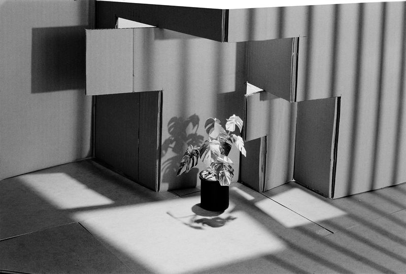 © Robin Crookall - Image from the My Favorite Shapes photography project