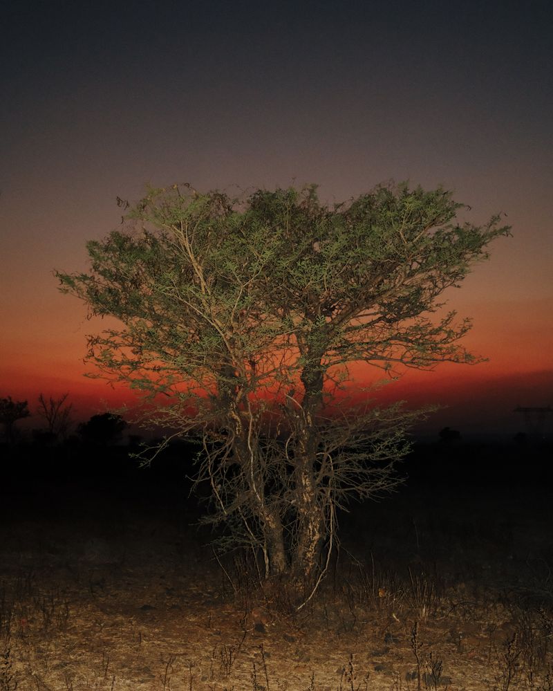 © Sushant Deshmukh - Image from the Raucous Skies & Song Of Remembrance photography project