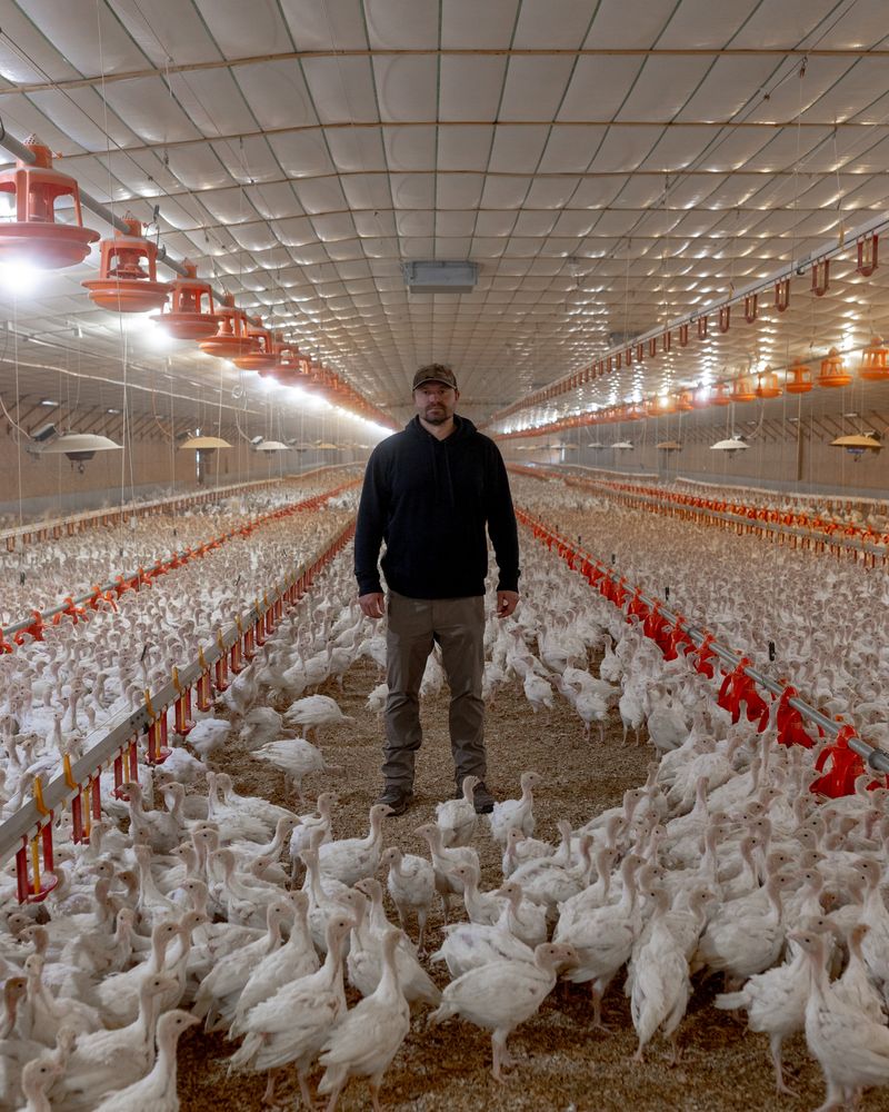 © Ross Gerhold - Image from the The Last Day photography project