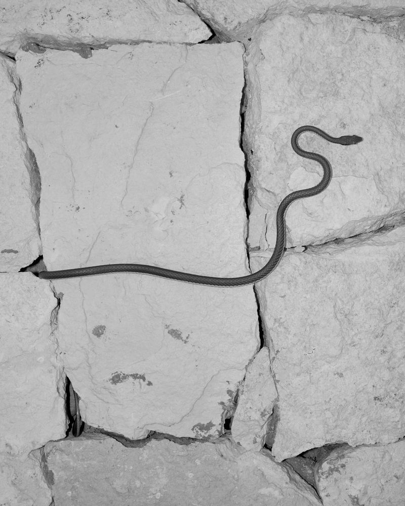 © Ross Gerhold - Image from the Another Day in Paradise photography project