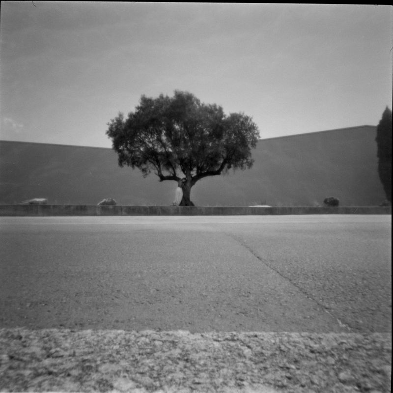 © Diana Olifirova - Image from the Thresholding photography project