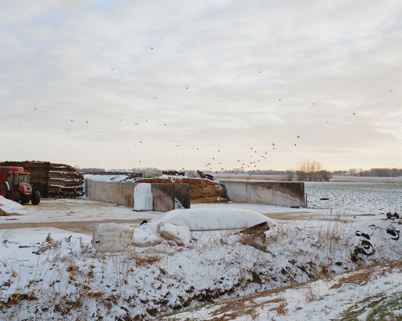 © Dominique de Vries - Image from the Now I know how to tell you photography project