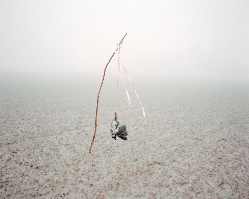 © Dominique de Vries - Image from the Now I know how to tell you, goodbye. photography project