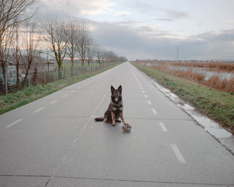 © Dominique de Vries - Image from the Now I know how to tell you, goodbye. photography project