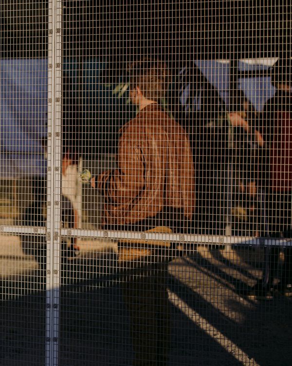 © Ashleigh Howard - Image from the August Gets Cold at Night photography project