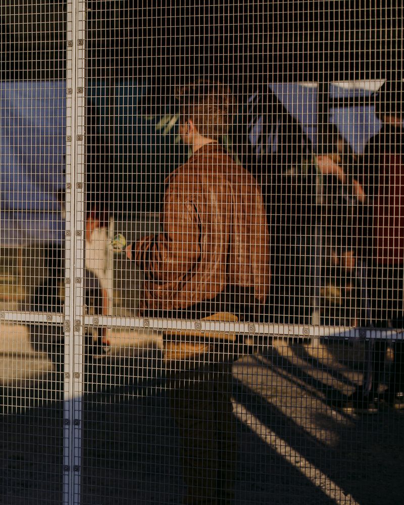 © Ashleigh Howard - Image from the August Gets Cold at Night photography project