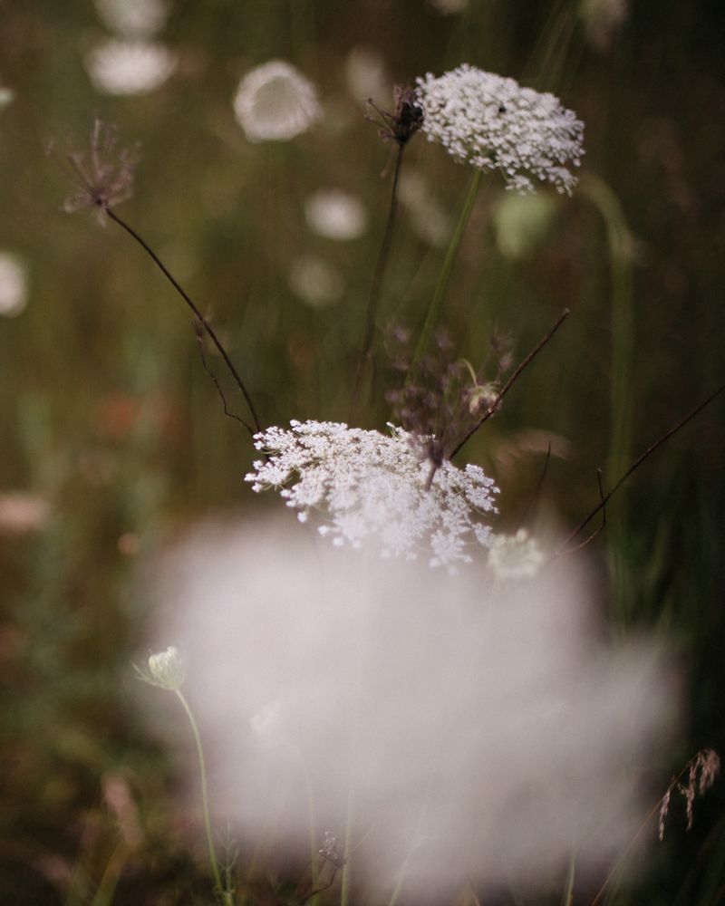 © Ashleigh Howard - Image from the August Gets Cold at Night photography project