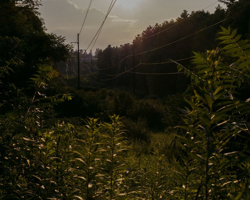 © Ashleigh Howard - Image from the August Gets Cold at Night photography project