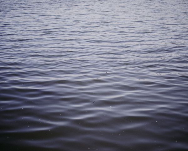© Ashleigh Howard - Image from the August Gets Cold at Night photography project