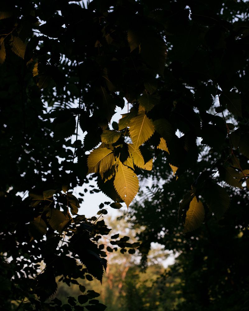 © Ashleigh Howard - Image from the August Gets Cold at Night photography project
