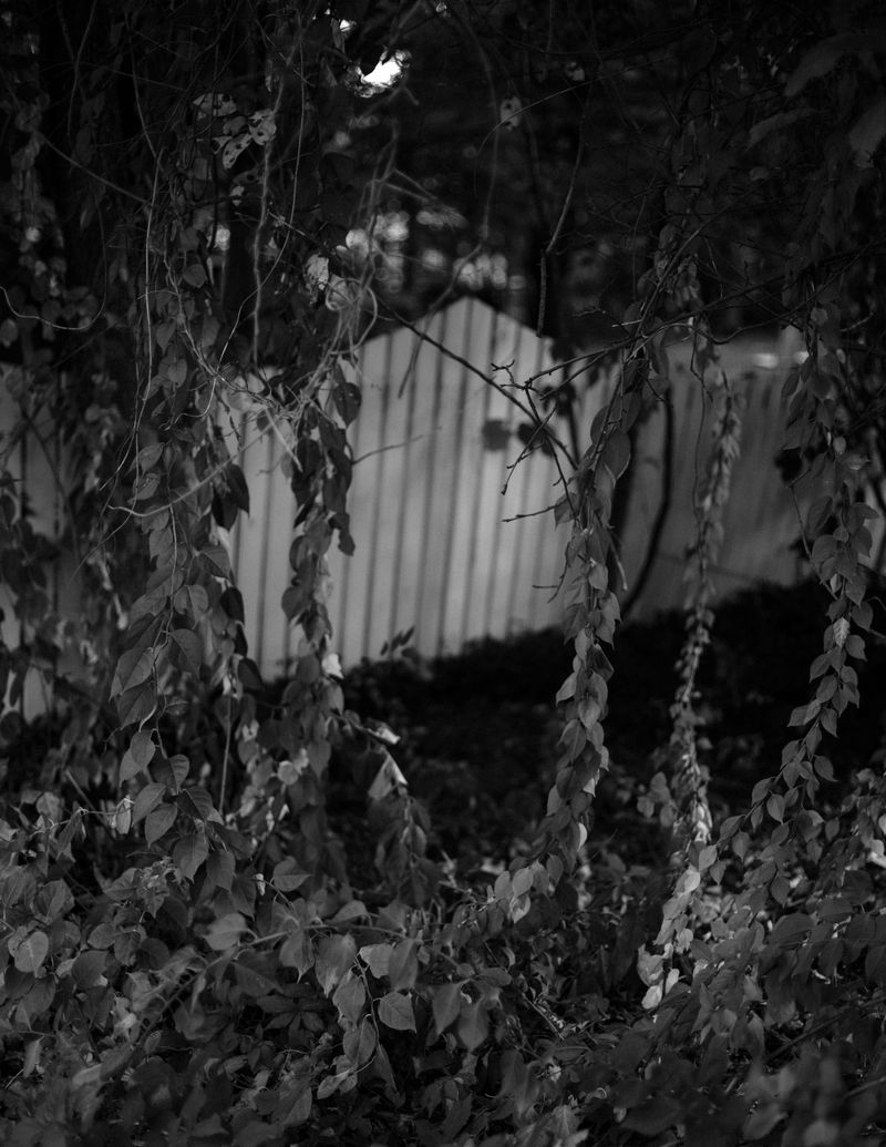 © Ashleigh Howard - Image from the Come Back Home photography project