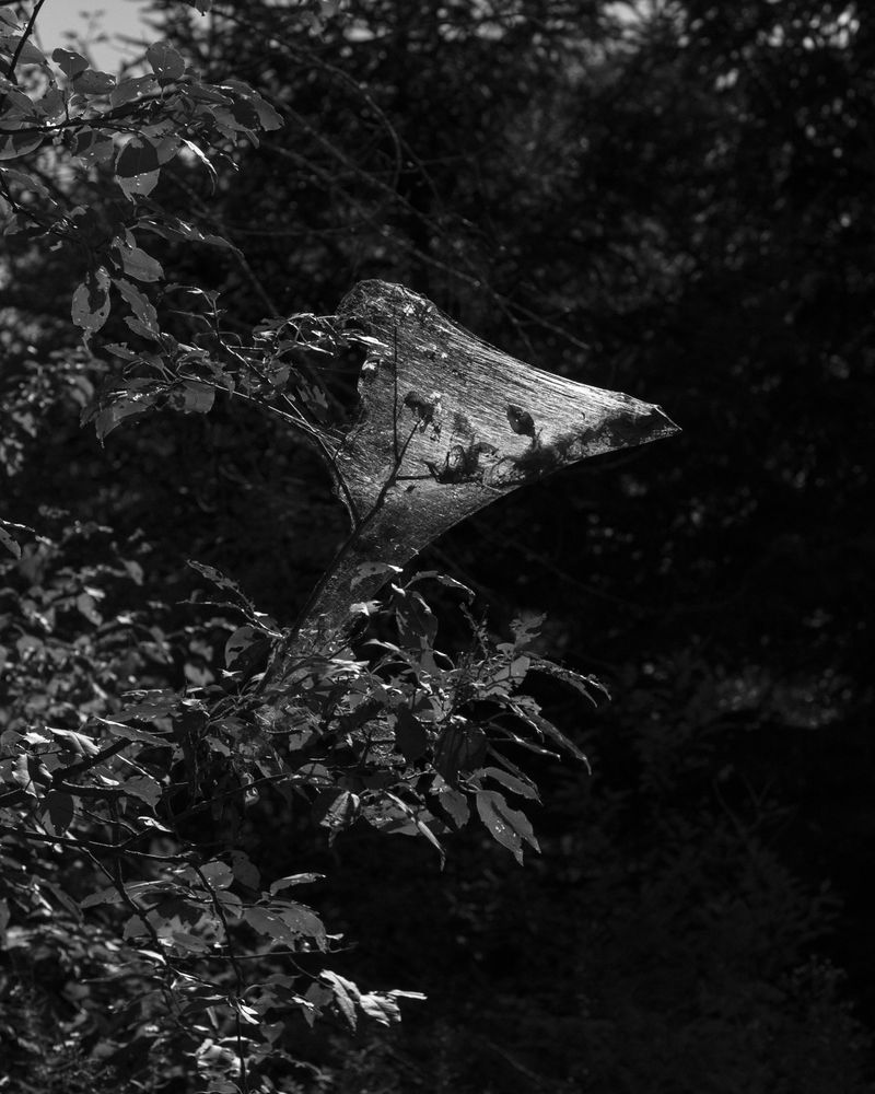 © Ashleigh Howard - Image from the Come Back Home photography project