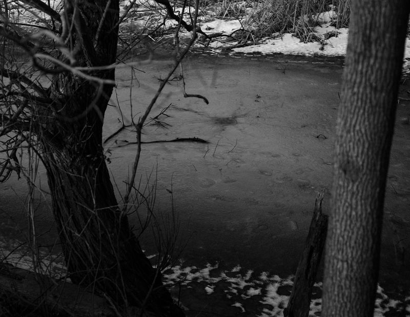© Ashleigh Howard - Image from the Come Back Home photography project