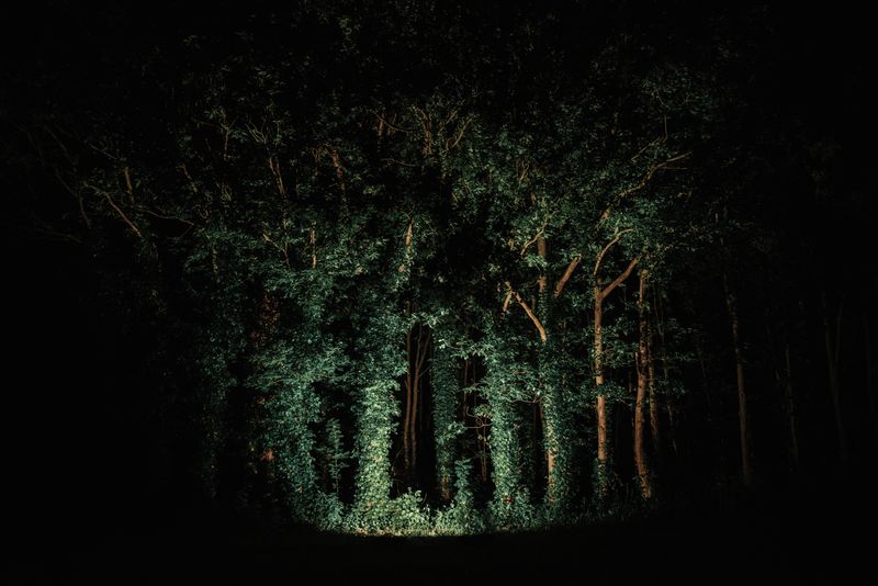 © Michelle Piergoelam - Image from the The untangled tales photography project