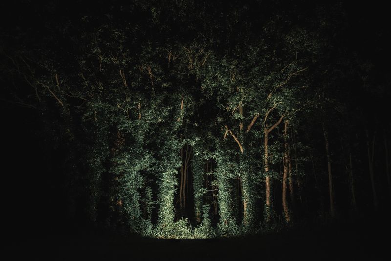 © Michelle Piergoelam - Image from the The untangled tales photography project