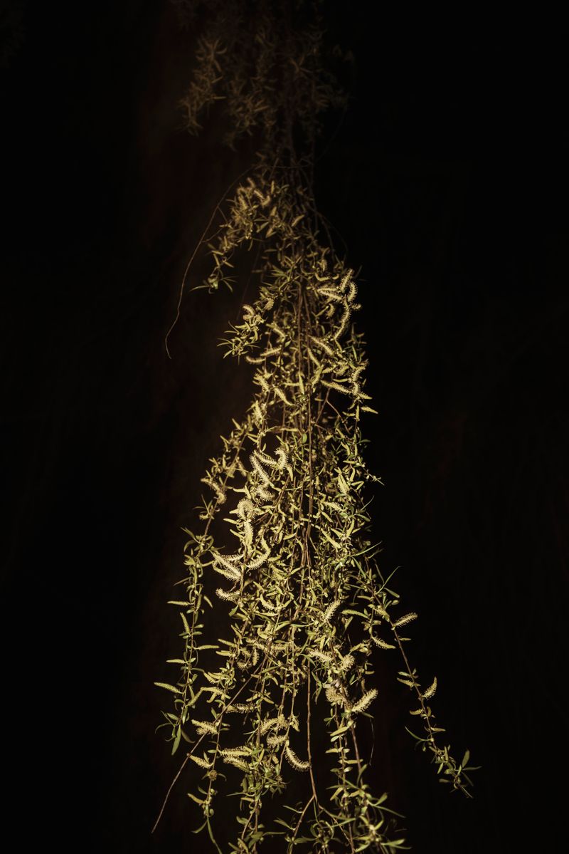 © Michelle Piergoelam - Image from the The untangled tales photography project