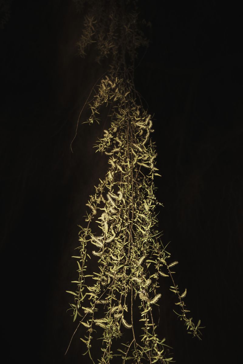 © Michelle Piergoelam - Image from the The untangled tales photography project