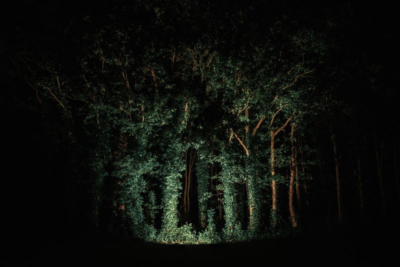 © Michelle Piergoelam - Image from the The Untangled Tales photography project