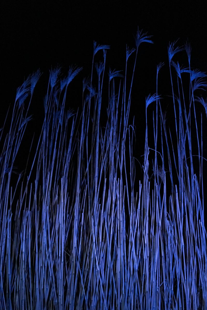 © Michelle Piergoelam - Image from the Songs In A Strange Land photography project