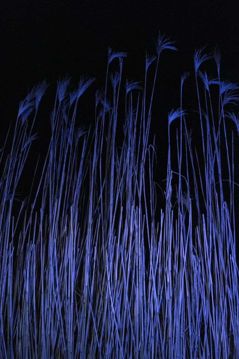 © Michelle Piergoelam - Image from the Songs In A Strange Land photography project