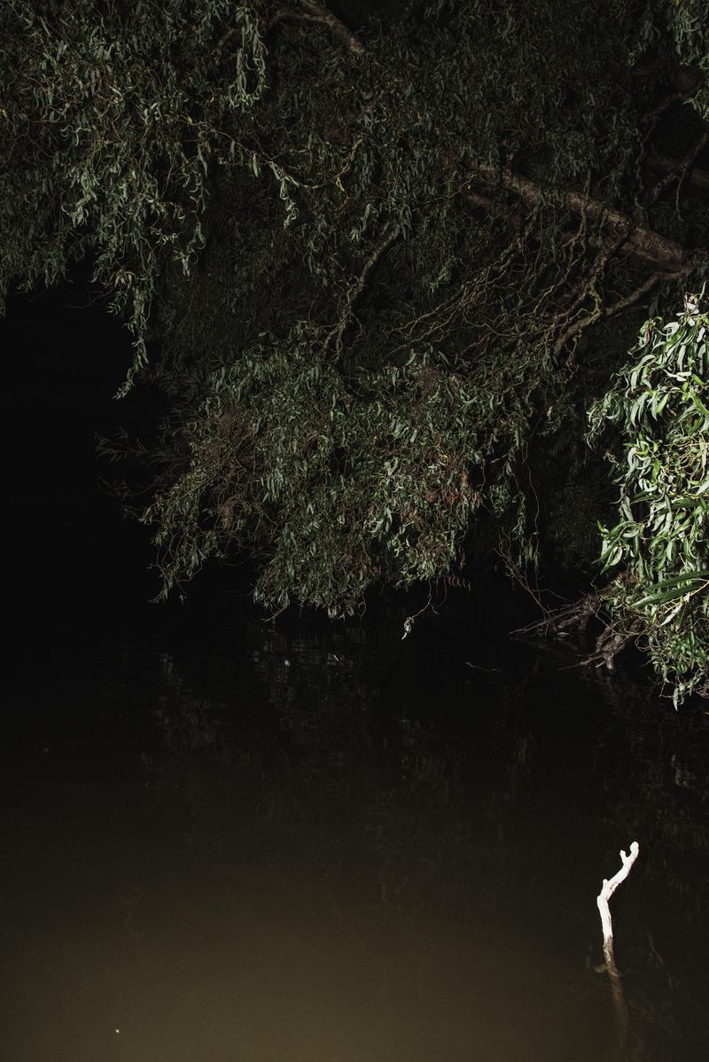 © Michelle Piergoelam - Image from the Songs In A Strange Land photography project