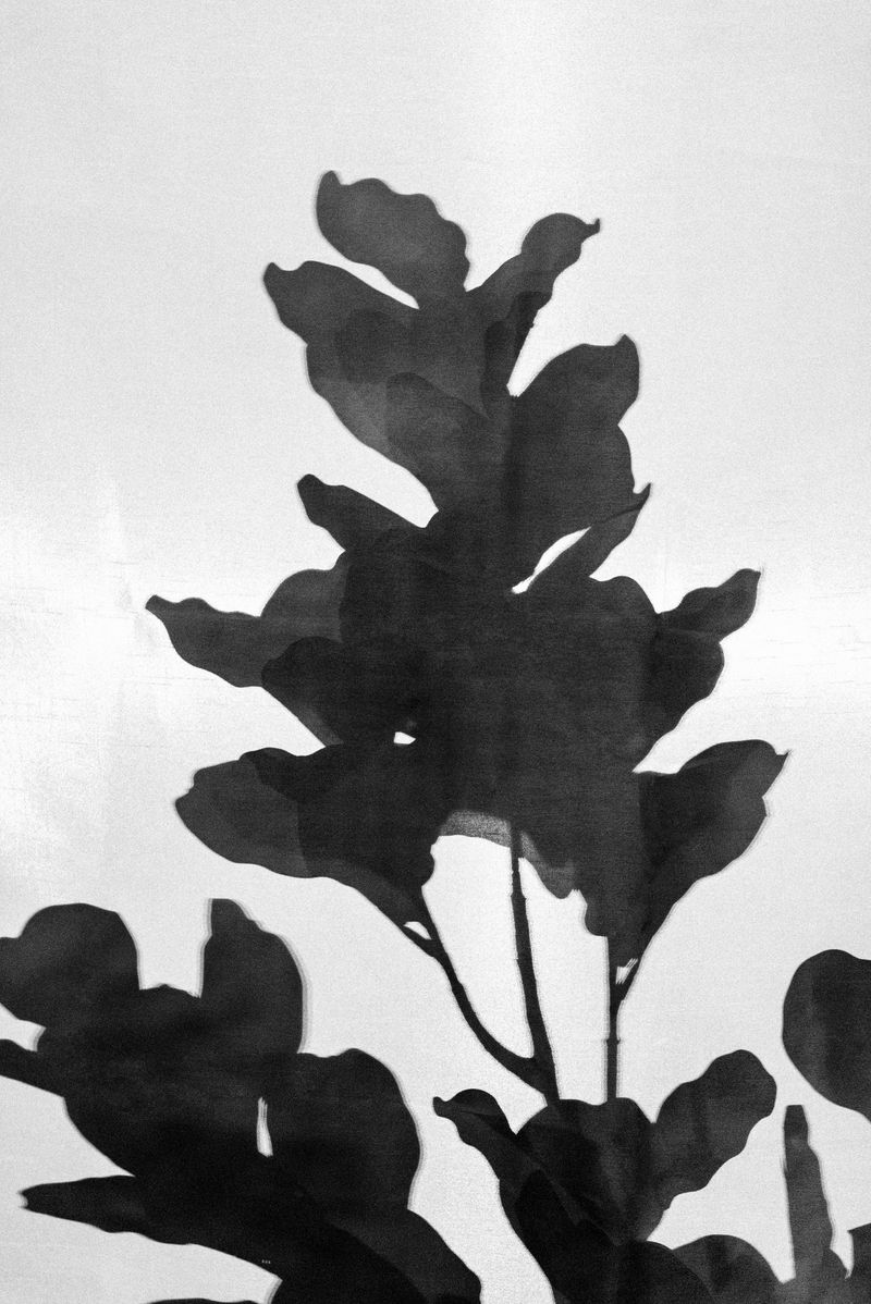 © Michelle Piergoelam - Image from the Songs In A Strange Land photography project