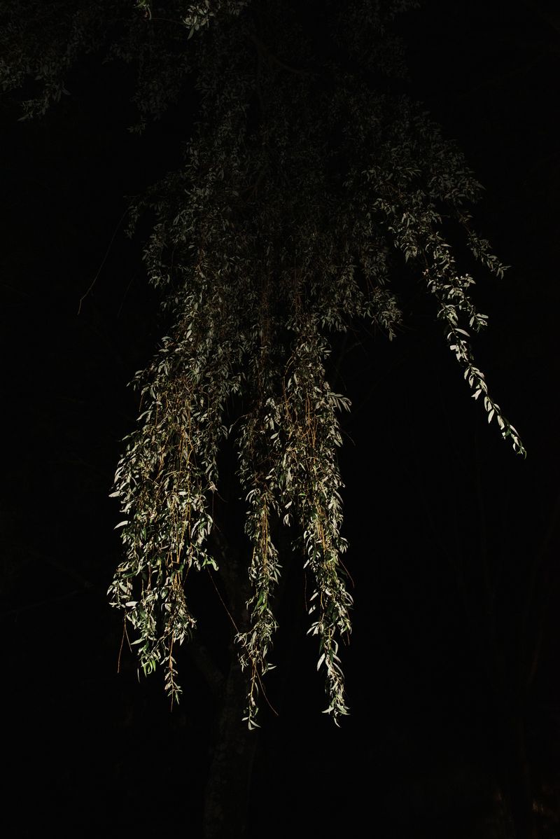 © Michelle Piergoelam - Image from the Songs In A Strange Land photography project