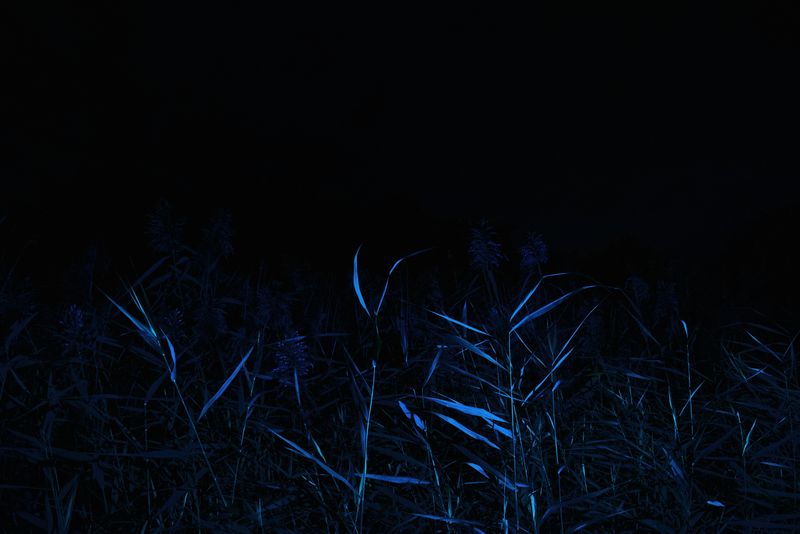 © Michelle Piergoelam - Image from the Songs In A Strange Land photography project