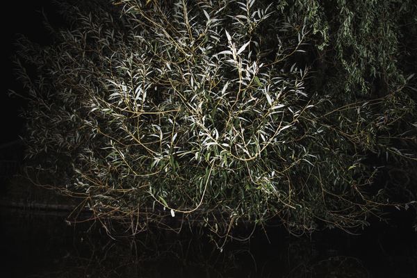© Michelle Piergoelam - Image from the Songs In A Strange Land photography project