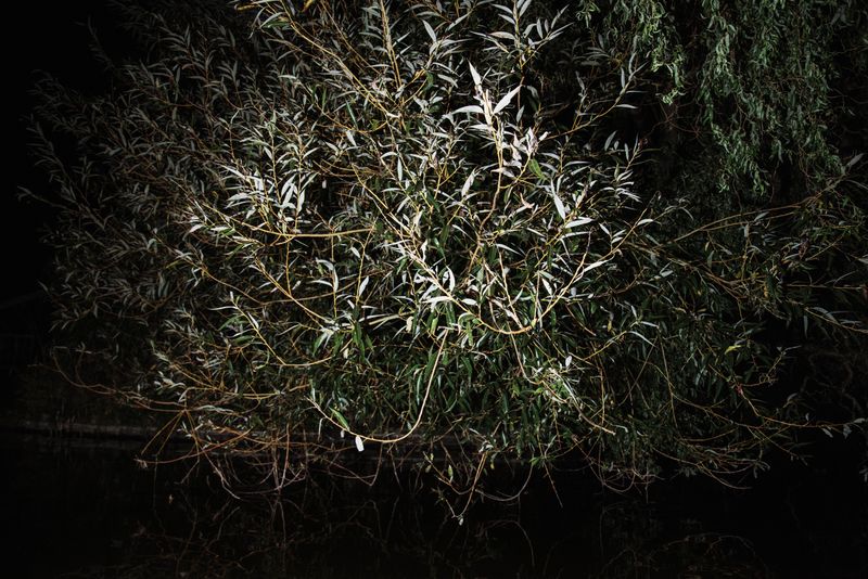 © Michelle Piergoelam - Image from the Songs In A Strange Land photography project