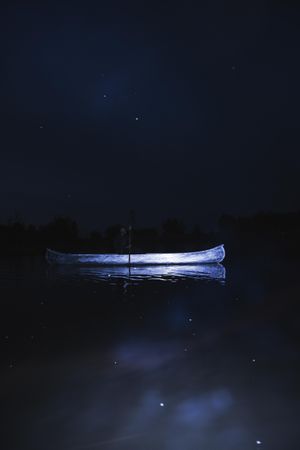 Songs In A Strange Land