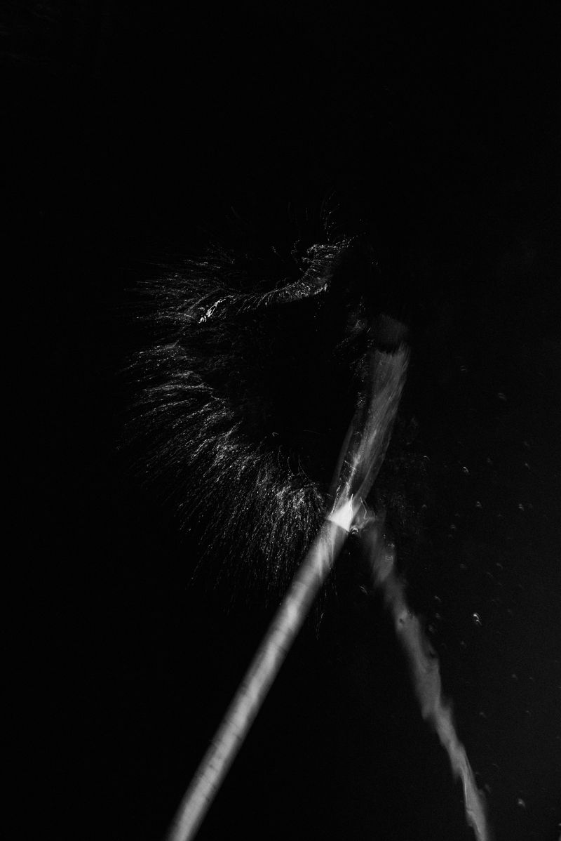 © Michelle Piergoelam - Image from the Songs In A Strange Land photography project