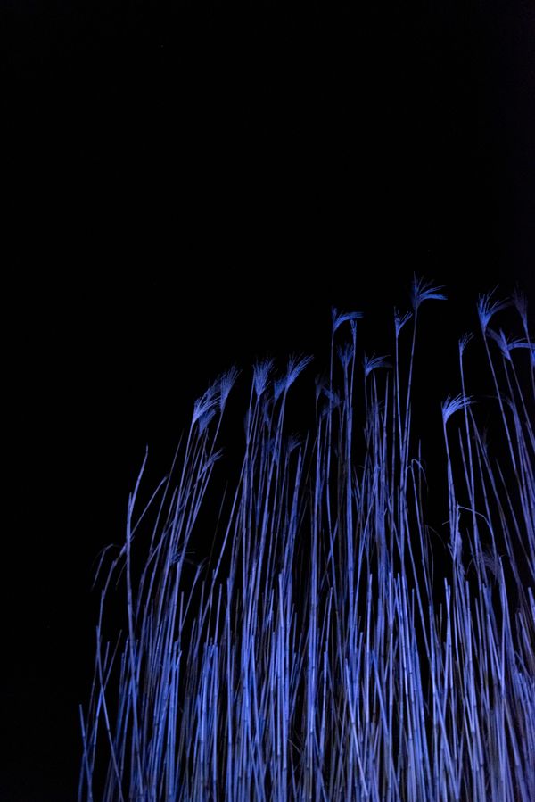 © Michelle Piergoelam - Image from the Songs In A Strange Land photography project