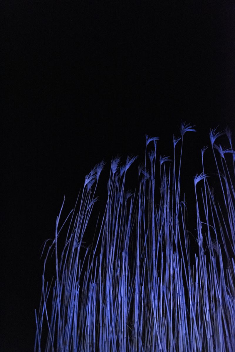 © Michelle Piergoelam - Image from the Songs In A Strange Land photography project