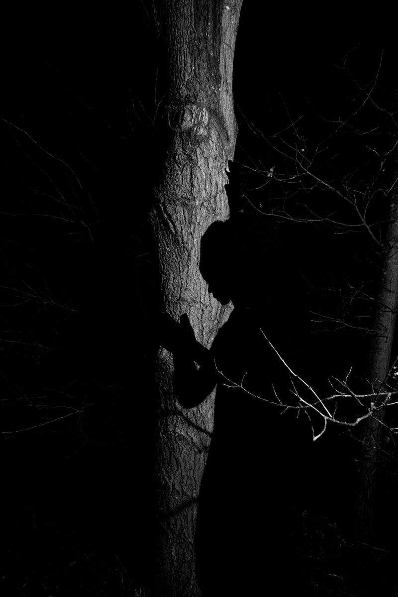 © Michelle Piergoelam - Anansi at night