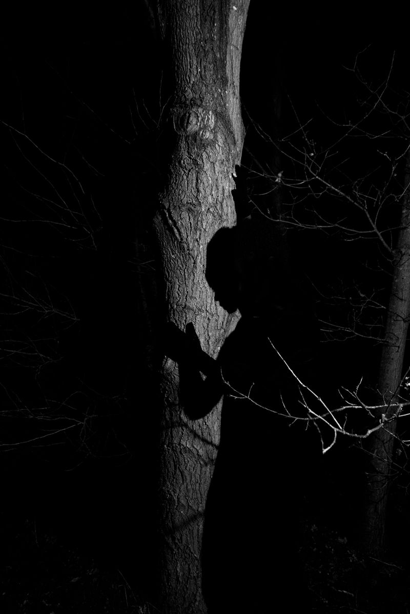 © Michelle Piergoelam - Anansi at night