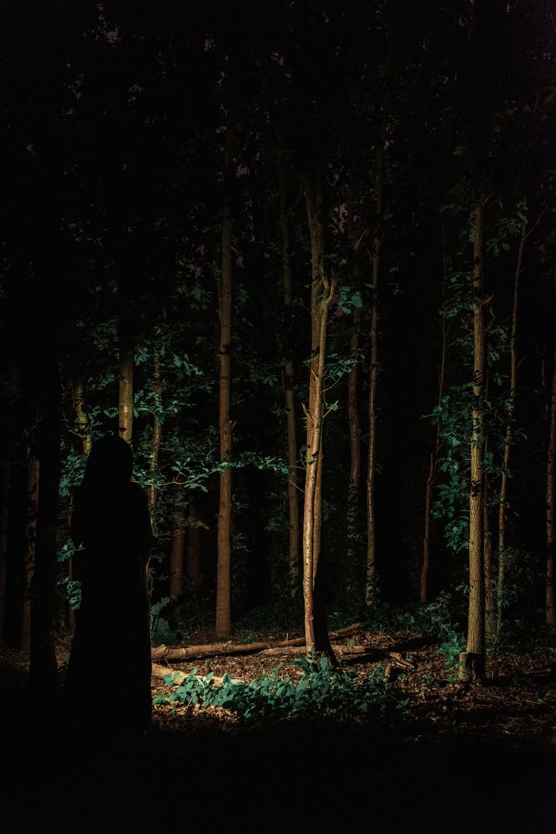 © Michelle Piergoelam - The place