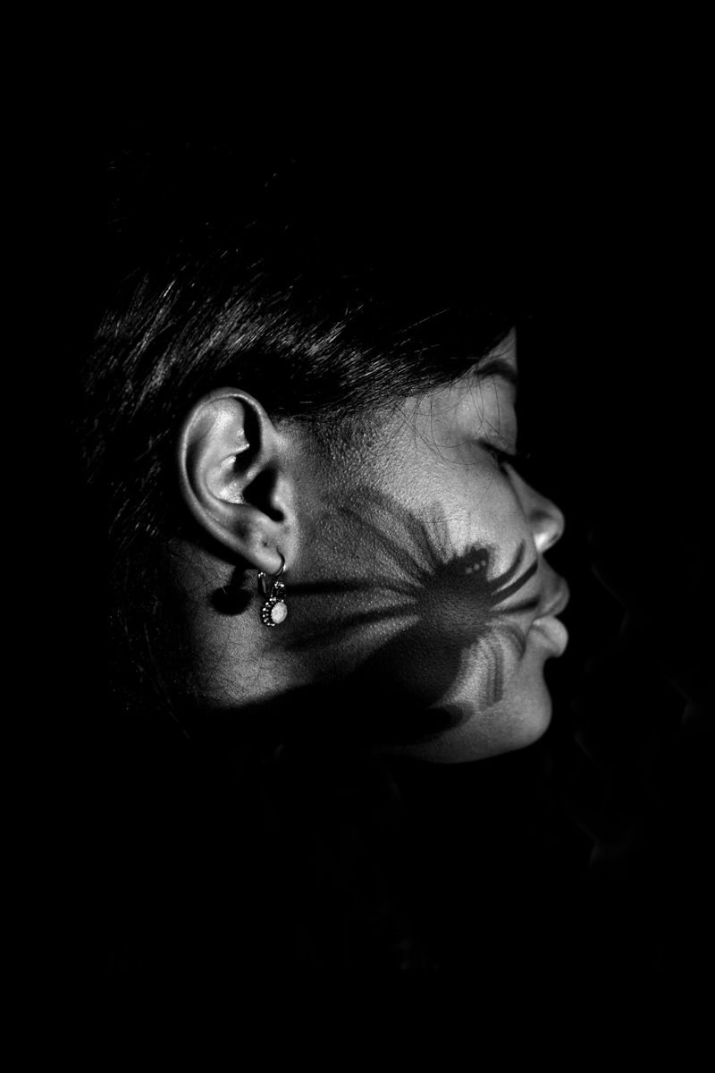 © Michelle Piergoelam - Anansi the spider