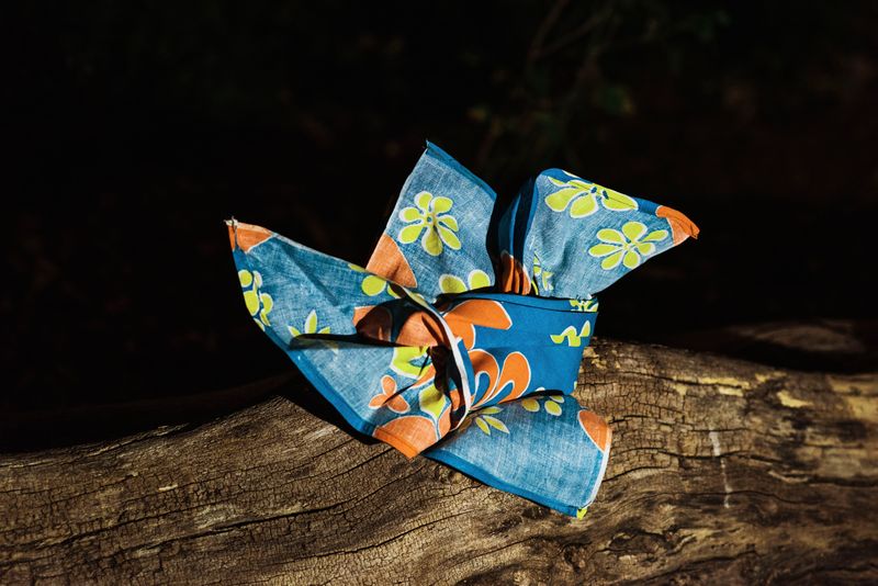 © Michelle Piergoelam - Angisa: Feda - trouble