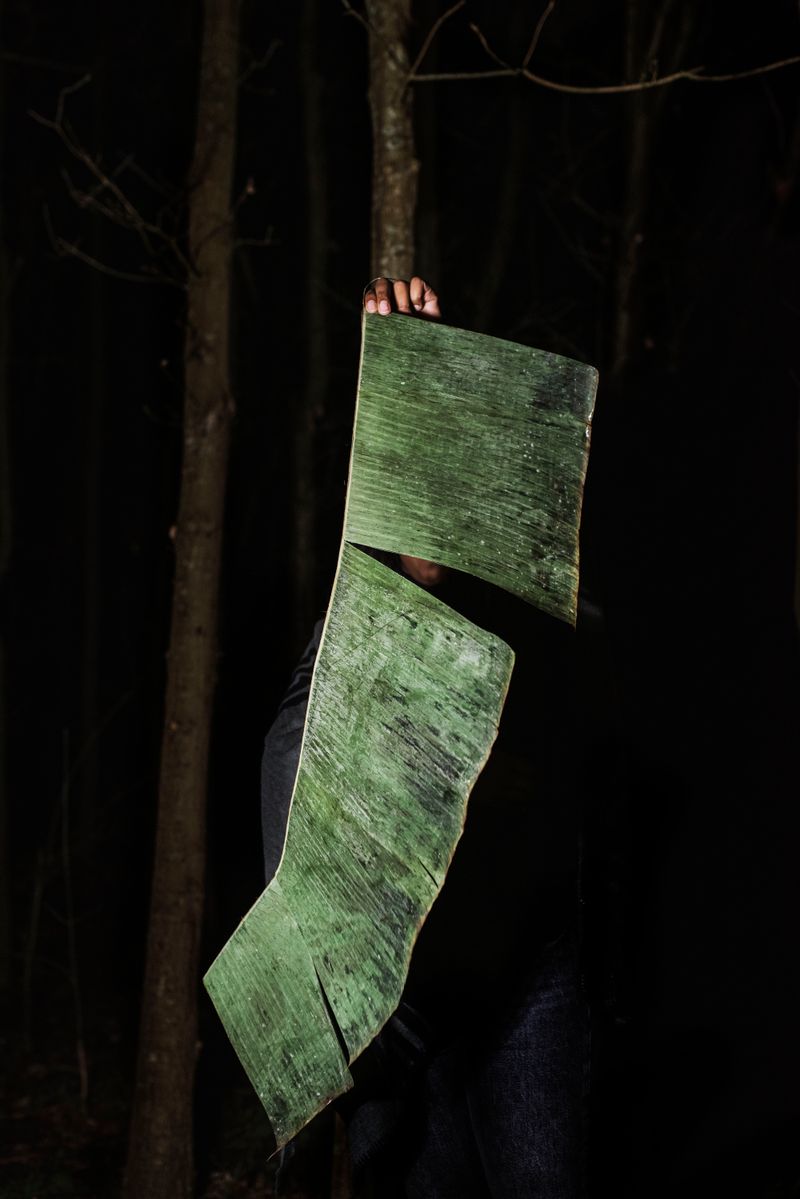 © Michelle Piergoelam - The untangled night