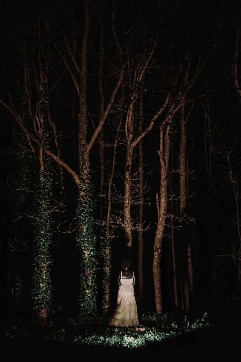 © Michelle Piergoelam - The night