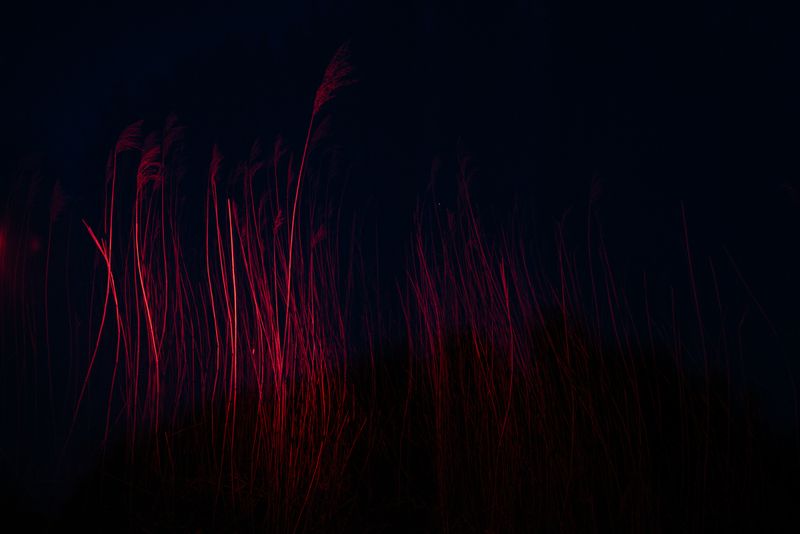 © Michelle Piergoelam - Image from the I heard water holds a secret photography project