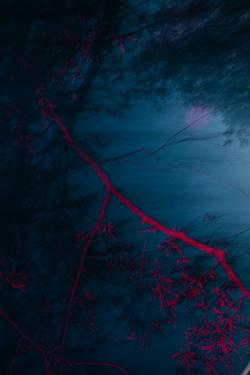 © Michelle Piergoelam - Image from the I heard water holds a secret photography project