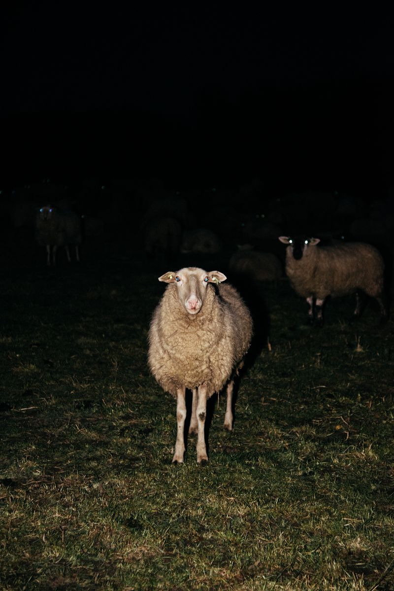 © Michelle Piergoelam - Image from the I heard water holds a secret photography project